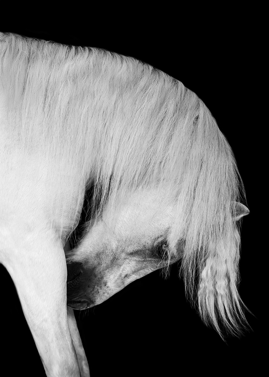 Classic is the Stil that I can‘t get enough 