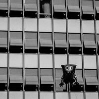 A pristine world ? Wandering through Switzerland's cities