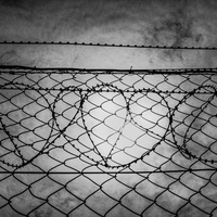 A pristine world ? Wandering through Switzerland's cities