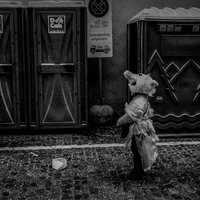 A pristine world ? Wandering through Switzerland's cities