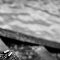 A pristine world ? Wandering through Switzerland's cities