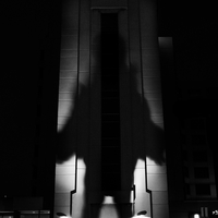 The Giant Shadow of the Human World