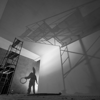 The Giant Shadow of the Human World