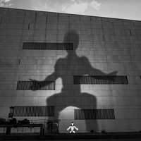 The Giant Shadow of the Human World