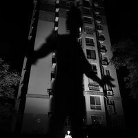 The Giant Shadow of the Human World