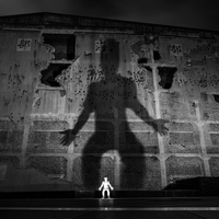The Giant Shadow of the Human World