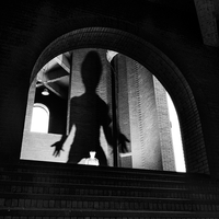 The Giant Shadow of the Human World