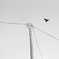 You May Find This Shocking