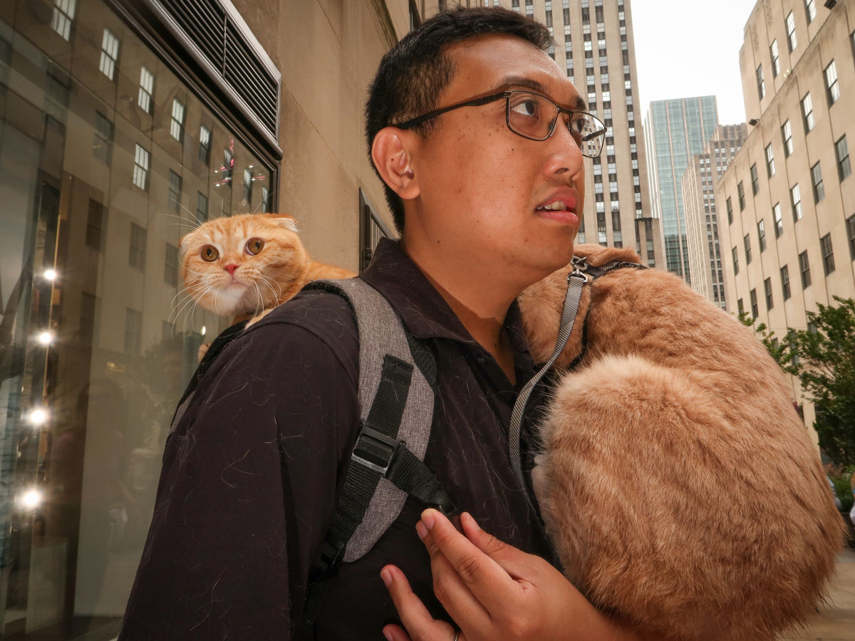 Hanging around with Catman