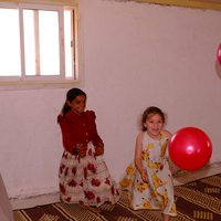 Where there is a will there is a way 