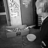 Day is night and Night is day