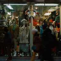 Into The fading Lights