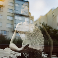 Into The fading Lights