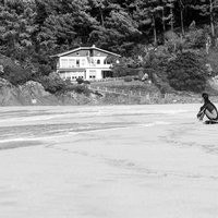 Some gaze on the Basque Country