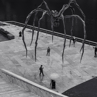 Some gaze on the Basque Country