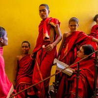 Children of the Veda