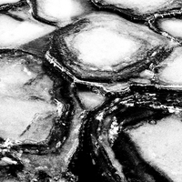 Who are we when we are not ourselves?