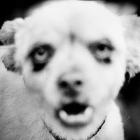 Who are we when we are not ourselves?