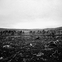 Who are we when we are not ourselves?