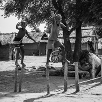CHILDREN FROM THE LAND OF BAOBABS