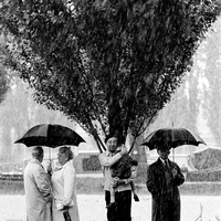 'It Never Rains but it Pours'