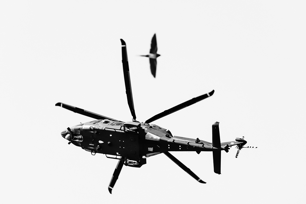 The Imitation of Flight