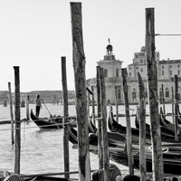 Gondolas and gondoliers
