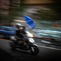 PULSATION URBAINE/URBAN PULSATION