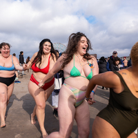 Polar Plungers, Brooklyn
