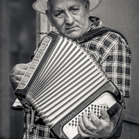 Barfly - Orvieto, Italy