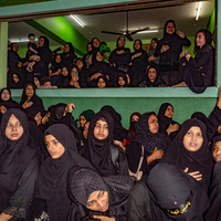 Echoes of Solidarity