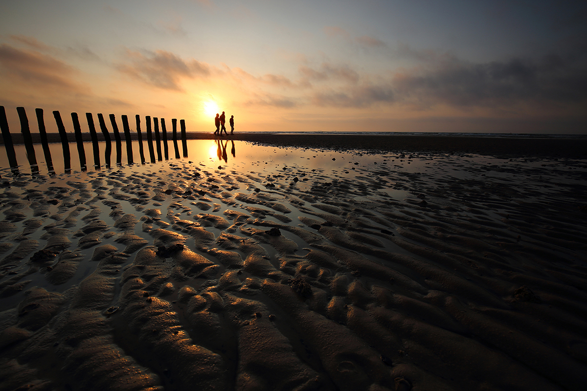 Last lights of summer