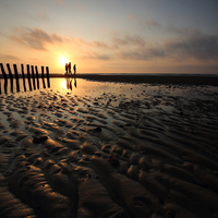 Last lights of summer