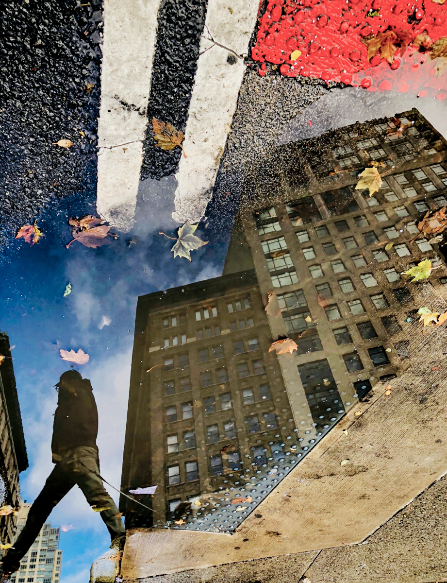 Puddle Scape: In His Lane
