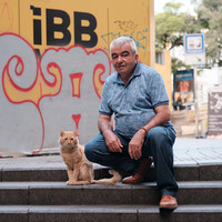Istanbul - City of Cats