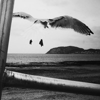 The Surreal World - A Lacuna Project