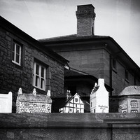 The Surreal World - A Lacuna Project