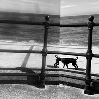 The Surreal World - A Lacuna Project