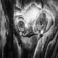 The Surreal World - A Lacuna Project