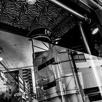 A Fleeting Glitch of the Street