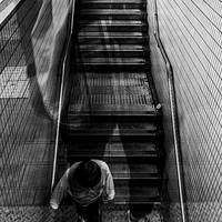 A Fleeting Glitch of the Street