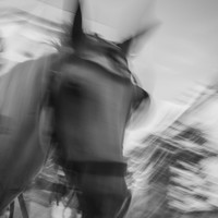 Horsemen of Memories