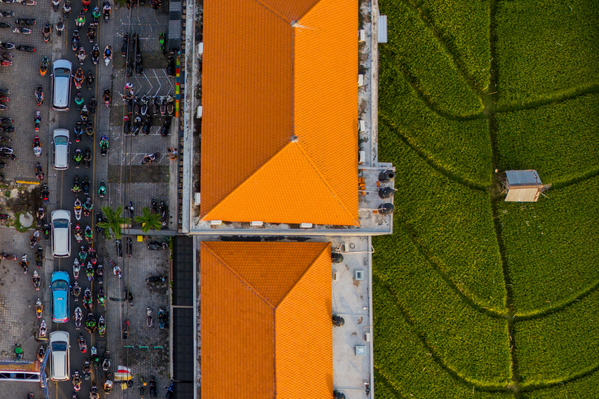 Yesterday Planted, Today Crowded, Tomorrow Rented