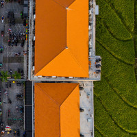 Yesterday Planted, Today Crowded, Tomorrow Rented