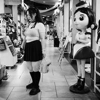 Unexpected Encounters – Bangkok’s Quiet Absurdities