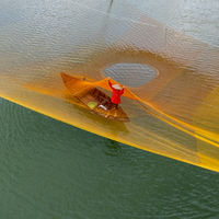 A Bird's Eye View of Life in Color and Motion