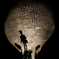 Shadows in a light bulb