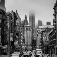 Views of New York 
