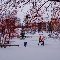 How I Learned To Stop Worrying and Love November