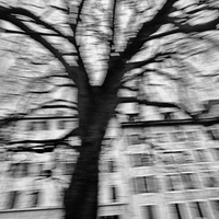 Flou et mouvement